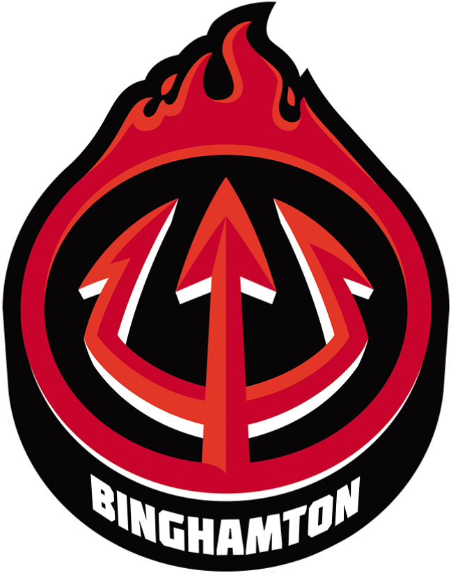 Binghamton Devils 2017-Pres Alternate Logo v2 iron on heat transfer